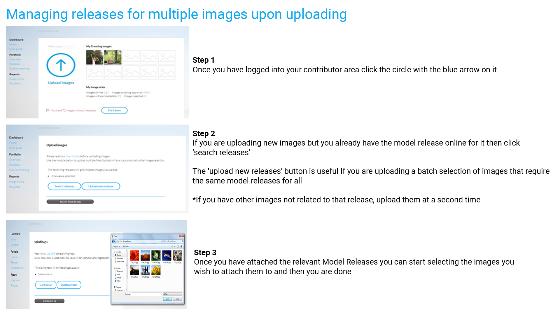Ingram Contributor Portal